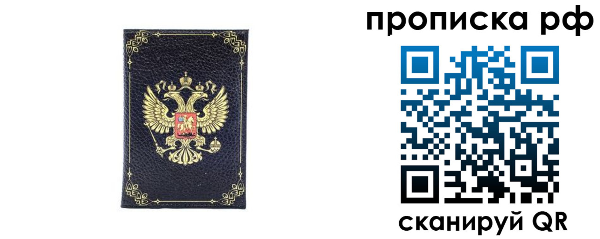 прописка для школы в Волгограде
